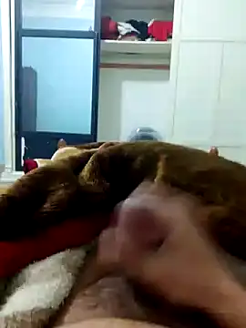 Ayoub ben27 online show from 03-11-26, 10:59