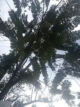 Snapshot of Camila-Valverde chatting on 01-31-26, 08:51 Camila-Valverde online show from 01-31-26, 08:51