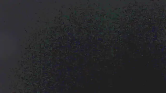 little emiily  online show from 11-05-25, 11:02