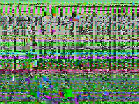 Dyskizly online show from 02-22-26, 05:43