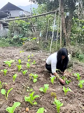 heodat-sexx online show from 12-20-25, 09:45