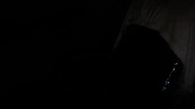 gygyfox online show from 11-21-25, 10:53