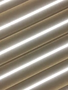 sabrinaneves online show from 03-11-26, 10:42