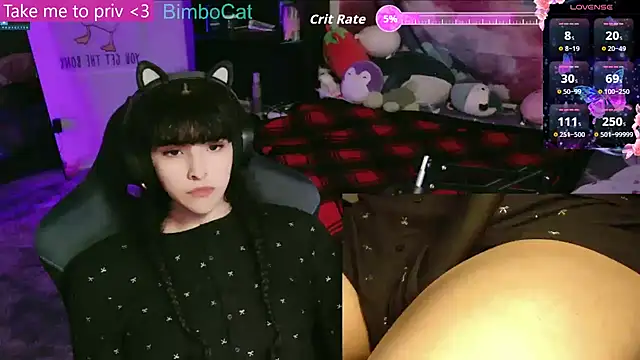 BimboCat online show from 12-16-25, 09:08