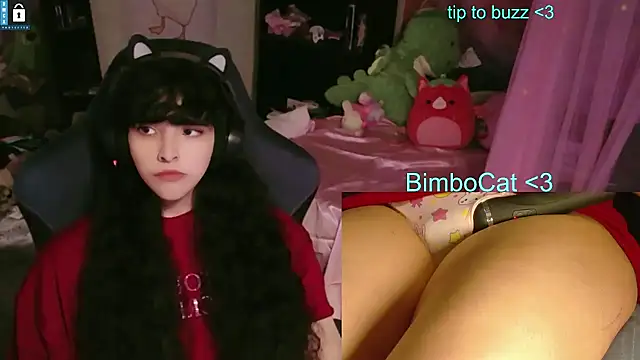 BimboCat online show from 06-11-26, 08:28