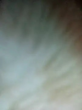 Nul-chal online show from 02-26-26, 06:19