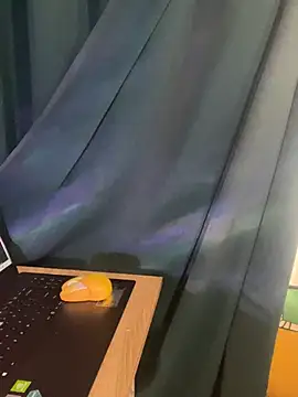 trinhvutrinh online show from 04-12-26, 04:16