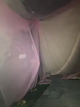 gino-sex online show from 11-28-25, 06:02