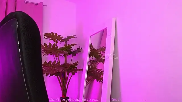 BabyLauritaa online show from 03-21-26, 11:08