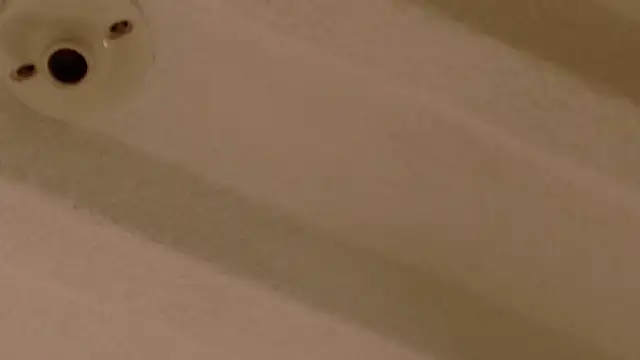 Snapshot of Zara_Nova chatting on 12-17-25, 11:32 Zara Nova online show from 12-17-25, 11:32