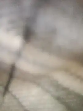 Snapshot of Pallu_Asha chatting on 03-01-26, 04:23 Pallu Asha online show from 03-01-26, 04:23