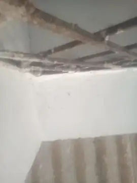 Pallu Asha online show from 04-28-26, 12:53