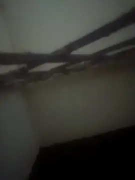 Pallu Asha online show from 04-28-26, 03:49