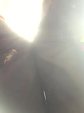 bi-bo123 online show from 01-10-26, 05:03