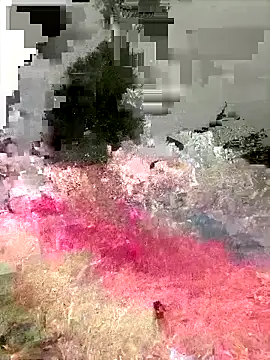 Ckinetor online show from 12-20-25, 03:15