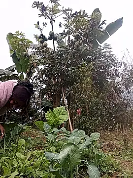 Alice-567 online show from 01-11-26, 09:27