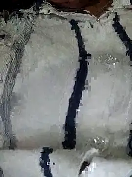 vijaylaxmi69 online show from 11-11-25, 05:08