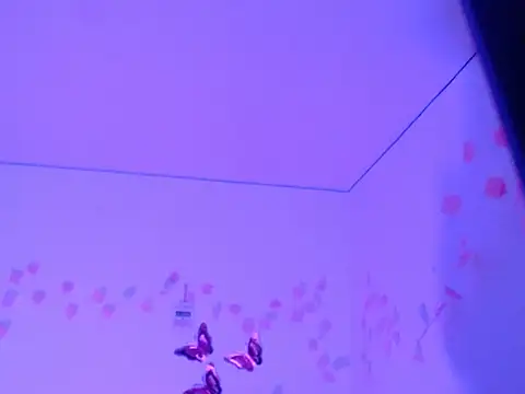 Samanta 777 online show from 11-26-25, 11:21