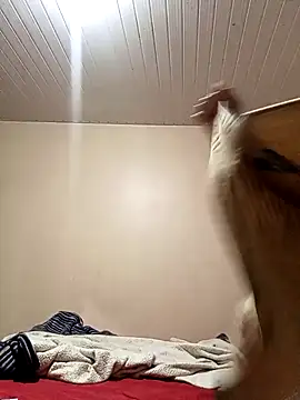 Snapshot of arybiten chatting on 02-10-26, 10:14 arybiten online show from 02-10-26, 10:14