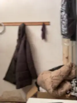 Ndodemnyamaxh online show from 12-23-25, 04:01