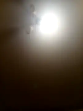 Snapshot of Niesmialyy chatting on 02-16-26, 08:18 Niesmialyy online show from 02-16-26, 08:18