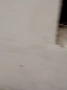 Jacqueline007 online show from 12-21-25, 12:57