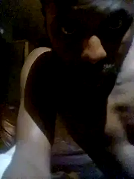 Ajsgardens online show from 11-15-25, 08:46