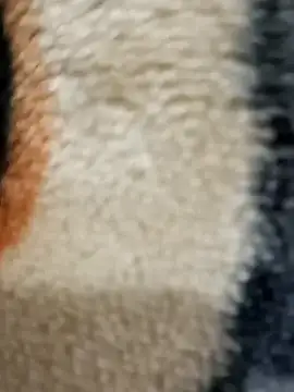 Radhaji88 online show from 11-11-25, 02:12