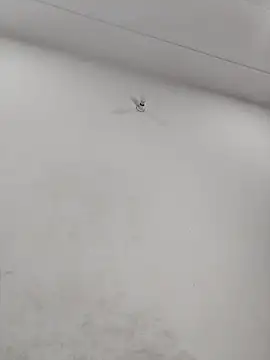 Radhaji88 online show from 01-14-26, 06:55