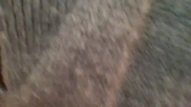 metissjeunn online show from 02-08-26, 05:43