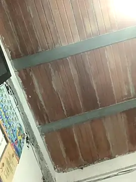 Megan2026 online show from 11-26-25, 02:55