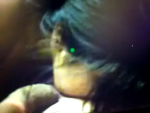 BdTinyDick online show from 03-19-26, 07:58