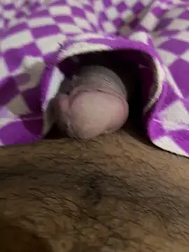 playboyoftelugu online show from 11-14-25, 05:44