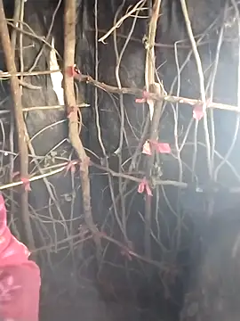 Jooli cuty online show from 02-20-26, 11:12