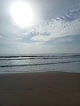 sexyspicy1804 online show from 11-28-25, 04:56