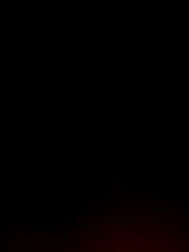 Tamil White Rose online show from 04-04-26, 08:37