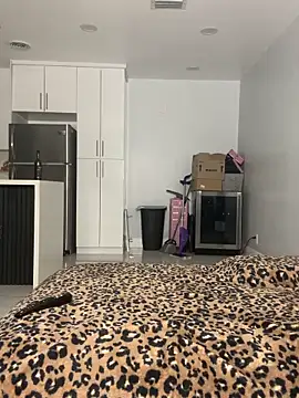 PrincessDreamm online show from 05-14-26, 11:57