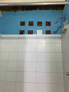 meliodas 23cm online show from 12-17-25, 02:16