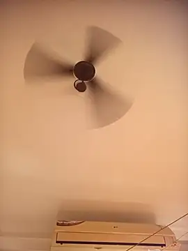 RubyEntity online show from 11-08-25, 05:33