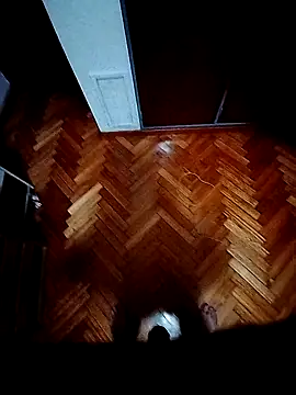 Snapshot of Miguel78cerbero chatting on 07-31-26, 03:39 Miguel78cerbero online show from 07-31-26, 03:39