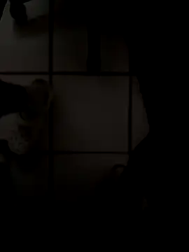 drpapi1942 online show from 11-10-25, 06:02