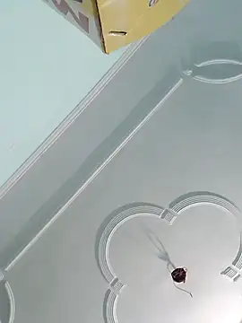 sanjana077 online show from 11-27-25, 06:14