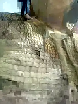 Nishi-3 online show from 01-17-26, 12:31