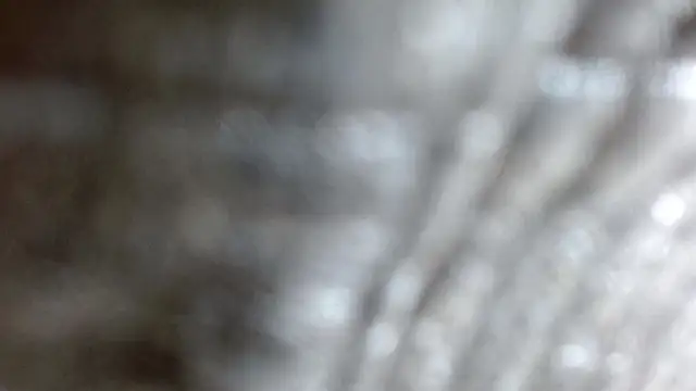 the breasts of desir  online show from 11-24-25, 07:25