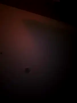 mixedswanger online show from 11-24-25, 07:19