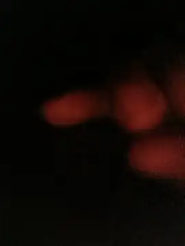 bruno 324278 online show from 05-10-26, 04:05