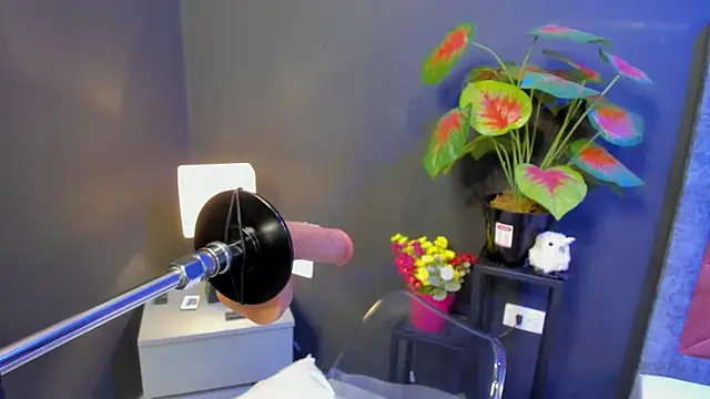 Amy whittee online show from 04-12-26, 03:43