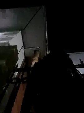 ParlousCarpet online show from 04-08-26, 10:22