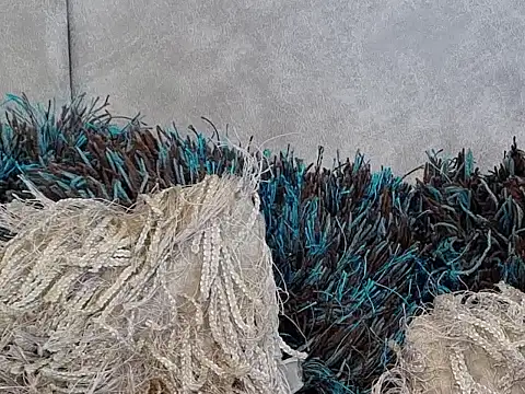 LannyShell online show from 11-26-25, 05:24