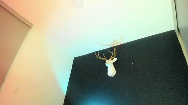 Zeus Jeff online show from 02-19-26, 01:35